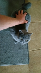 bab3738b-1a7f-4f53-baf8-4a691fdd92a4