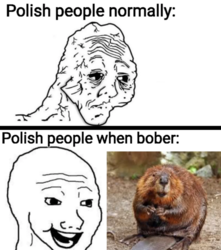 783e63ae-90ab-4564-8d63-9ae2bd78436b