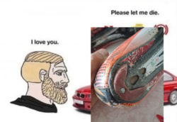 46d86db8-6f40-4aa9-8860-8b1b9fb1f7a0