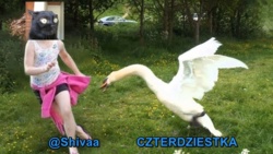 4b48319f-f72a-4dc8-8e68-3064b86feaa6