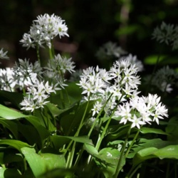 0d9fc8a1-ee94-4d4f-86e7-f454c6456e72