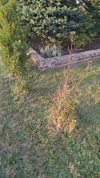 d9cf2043-dbbd-4532-80c9-ae059144ce69