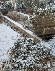 16aedf61-72d9-4bfe-97b5-ed0d8ab08d99