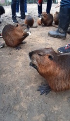 88d91cab-4dd8-47a8-84f4-747349fb109f