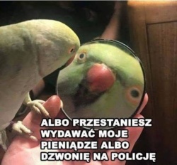 6716dc7b-3c43-41a6-9c29-f9f6380a0a0d