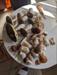 533f359f-e866-42b9-920a-8f18fb0e1ade