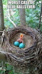 e73813eb-c215-4320-a422-5738ae6881fb