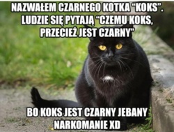 2f66553a-186d-41c7-8a49-46c211810240