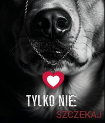 27001b93-f395-433c-8a0c-94f96a599ca0