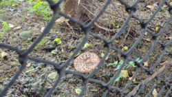 a128a404-0e44-44c6-94e8-8c07c3b200e2