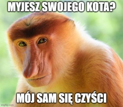 ef9055db-bbb1-4985-bbb2-e5206b45efb2