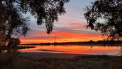 468c9d92-1779-4a80-a3e9-48f2599ea133