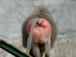 2542c31b-6444-42af-9577-760c29c96f70