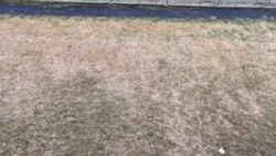 40c6108d-558e-42fc-8567-59242423b1ca