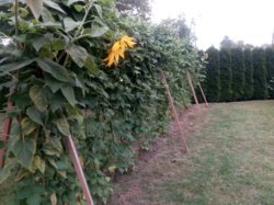 ae2751a3-c741-4b02-ad5f-97b163b44c35