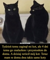 95e0fda5-68b5-4e24-af98-0b823c487b6d