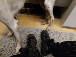 bd76e53f-fa5e-440f-9dc4-23516a2ce1ce