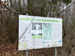 4dd82e4a-97f8-4498-9a98-4d97c06cf267