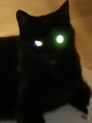 aafcb552-218d-4ec4-8d69-250c3c5c52c5