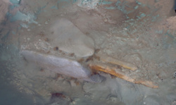 3078f992-35ca-4557-b9b8-e4d79fe3e74f