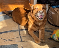 df188b4e-5d07-495d-b8ca-d149222dd3da