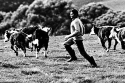 ff16ea34-bea8-4000-8103-abd74728f9ee