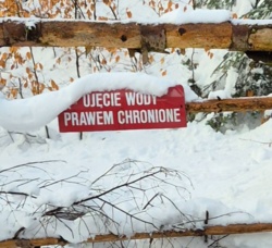 6f088b6a-bb24-4f89-9358-a0ddd45bdf6e