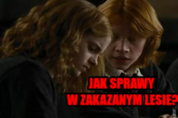 449060f9-caa6-4a8d-b697-f5845e768056