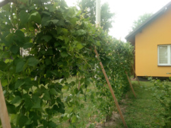 862b7ef0-d3ac-402c-83ef-001746e95070