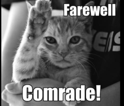 c7d4f936-cfa3-4f20-81c8-7f0ae658b9d0