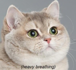 242a8ef2-c9c8-4866-a386-284dfa04ec96