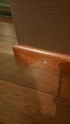 e311b24b-b44d-4cad-b854-633c00518997