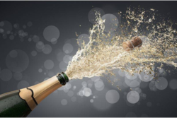 8c1d49d8-dac5-42f3-985e-257db516196a