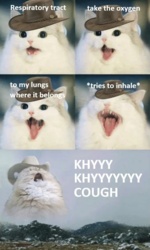 9df13bbc-28ab-4377-bd2c-dcd616f6fc05