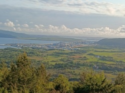 8b026719-cd5c-4a19-9aba-c9ba846f2b83