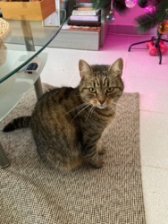 cdfd8cb7-7f29-435d-b27c-b430b66eccb5