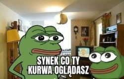 548a3c3f-854d-432b-8af5-e902f89fcd88