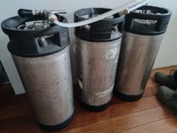 d38e9555-a7e2-493c-81f5-f588ceff62b2