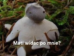 85765765-3aef-475b-b33a-1bcae9ddc80e