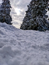 7d561a33-b31a-4567-887a-839bf614a021