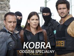 49d3a13b-10c5-4e40-a388-7ddb7f5c89ce