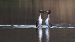 6fd0a998-0b90-491d-a71a-48febab138ac