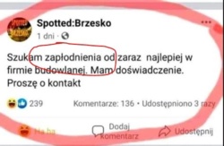 bb50c13c-fe3d-4820-9390-48b9a53962e7