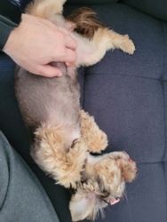 67a60d18-1cf9-4d6c-8f2d-49b909ecfacb