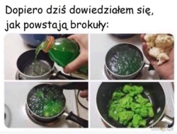 9b87e773-8b8e-4dfb-8ab5-ab534f132122