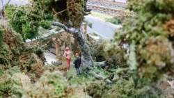 d3b2414a-7eca-4e36-a043-d971ef7559b7