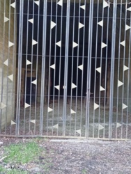 1b56e82c-1c7a-445d-b2fd-c6ce8d96b5ad