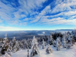 2cb7cbef-b602-4a94-b80f-6108e7daaa04