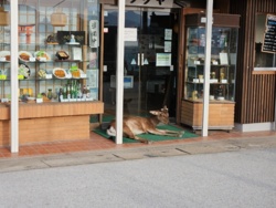 290c9a73-da46-428b-9d9b-0c7ab028e84c