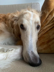 b5681585-0d83-4c72-bc6d-00a531139027